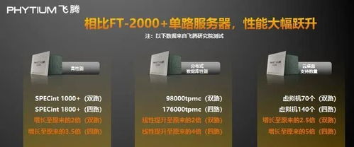 國產CPU的崛起 軟硬件協同發(fā)展之路